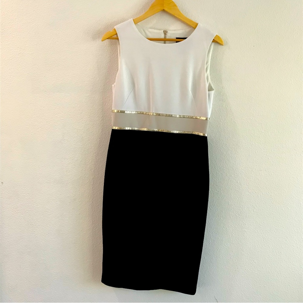 Frank Lyman one piece dress